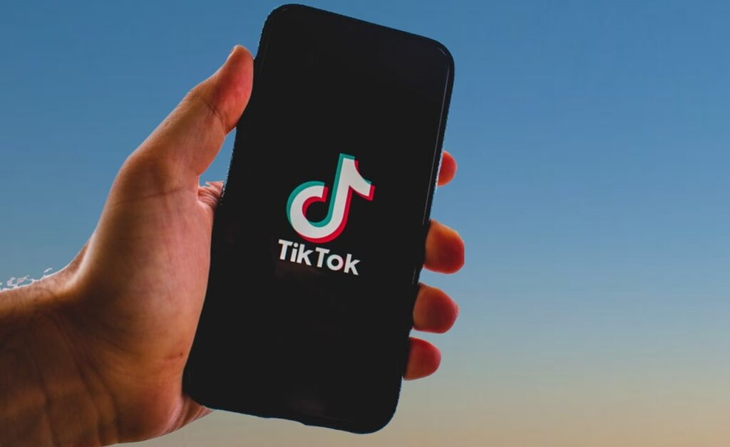 TikTokユーザーは10～20代の若年層が多い